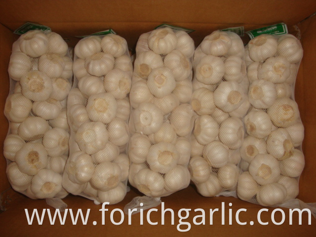 Pure White Garlic